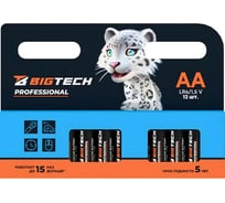 Батарейка BigTech Professional АA/LR6 упаковка/12шт 1988422