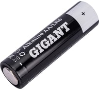 Батарейка Alkaline пальчиковая АА/LR6 набор 40 шт. Gigant GBA-2A-40