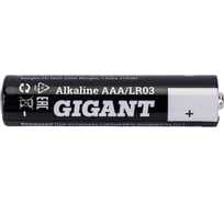 Батарейка Alkaline мизинчиковая ААA/LR3 набор 40 шт. Gigant GBA-3A-40