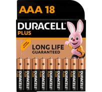Щелочные батарейки Duracell Plus ААА 1,5v LR03 MN2400, Б0056037