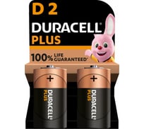 Щелочные батарейки Duracell Plus D 1,5v 2 LR20 MN1300, Б0056039