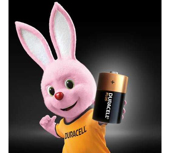 Щелочные батарейки Duracell Plus D 1,5v 2 LR20 MN1300, Б0056039