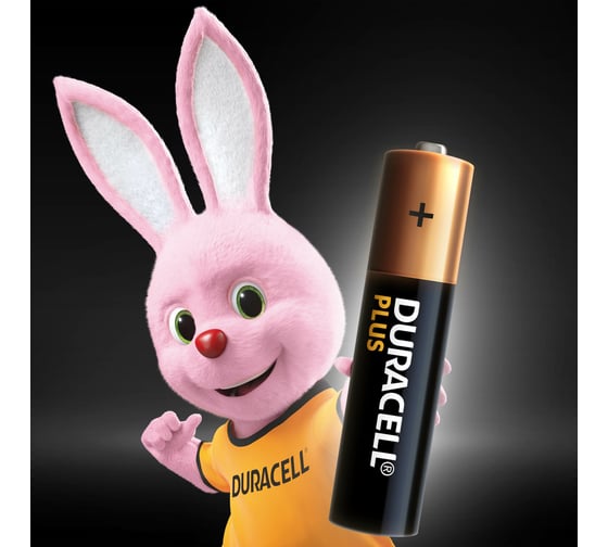 Щелочные батарейки Duracell Plus ААА 1,5v LR03 MN2400, Б0056033