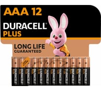 Щелочные батарейки Duracell Plus ААА1,5v LR03 MN2400, Б0056035