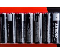 Батарейка Gigant Alkaline АА/LR6 блистер 12 шт. GBA-2A-12