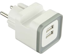 Адаптер Electraline с 2 USB разъемами серый 55094