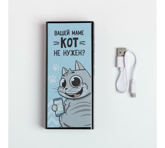 Зарядное устройство Like me "Вашей маме кот не нужен?", PB-04, 6,2x14 см 5170378