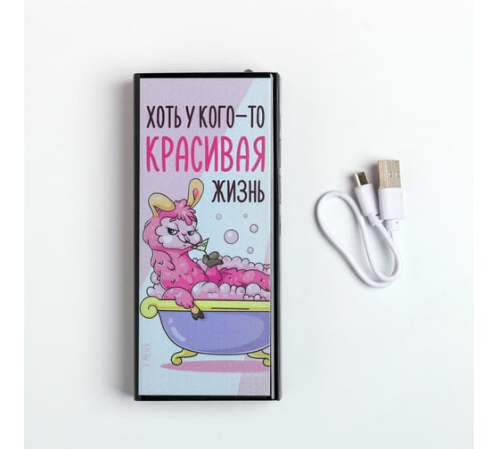 Зарядное устройство Like me "Хоть у кого-то красивая жизнь", PB-03, 6,2x14 см 5170377