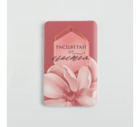Зарядное устройство Like me "Расцветай от счастья", PB-03, 6x9,5 см 5170367