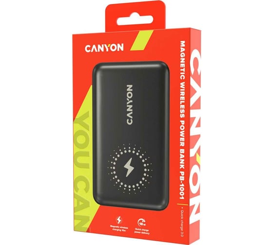 Внешний аккумулятор Canyon PB-1001 10000 мАч CNS-CPB1001B