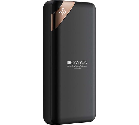 Внешний аккумулятор Canyon PB-202, 20000 мАч, черный CNE-CPBP20B 1