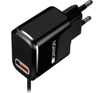 Сетевое зарядное устройство Canyon H-041, черный CNE-CHA041BS