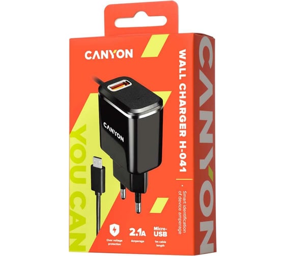 Сетевое зарядное устройство Canyon H-041, черный CNE-CHA041BS