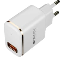 Сетевое зарядное устройство Canyon H-043, White/Silver CNE-CHA043WS