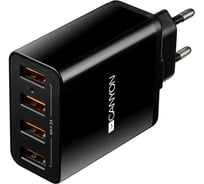 Сетевое зарядное устройство Canyon H-06, 4xUSB, 5A, черный CNE-CHA06B