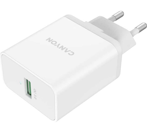 Сетевое зарядное устройство Canyon белый CNE-CHA24W 1