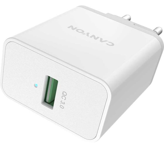 Сетевое зарядное устройство Canyon белый CNE-CHA24W