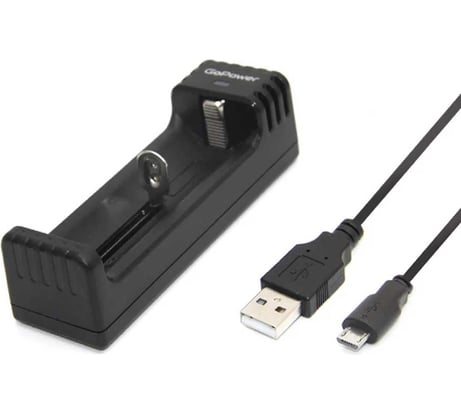 Зарядное устройство GoPower для аккумуляторов LiCharger 2 Ni-MH/Ni-Cd/Li-ion/IMR 1 слот (1/100) 00-00015361