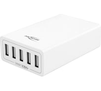 Зарядная станция ANSMANN 1001-0054 USB Charger 8.0A 15183