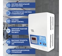 Навесной стабилизатор напряжения RUCELF SRW-10000VA-D 00001307