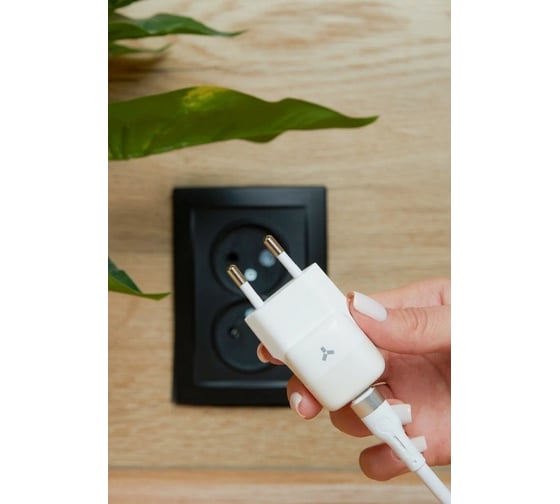 Зарядное устройство grape 20wc Accesstyle Grape 20WC White Silver