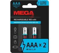 Аккумулятор ProMega aaa 900 мач, 2 штуки в упаковке, nimh 1420757