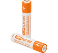 Аккумулятор TDM ELECTRIC AAA-1000 mAh Ni-MH BP-2 SQ1702-0075