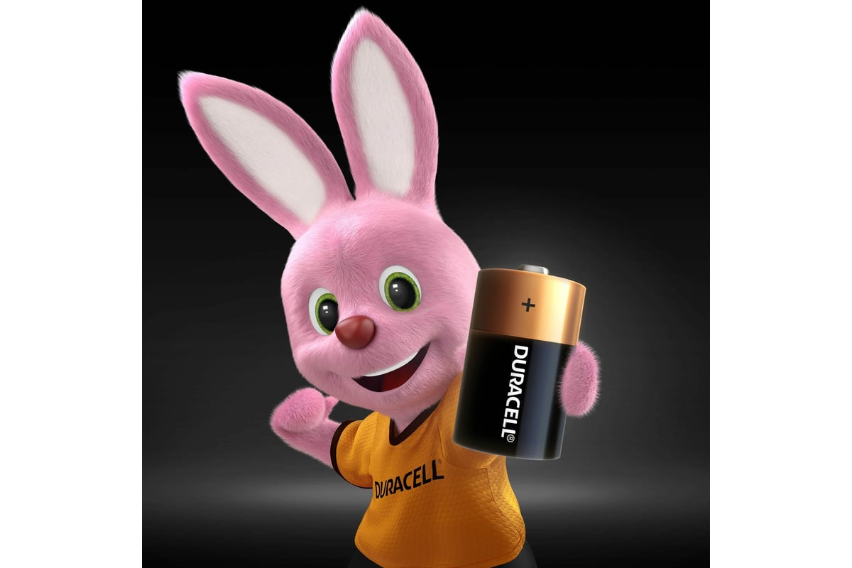 Батарейки щелочные Duracell, D/LR20 2шт Б0014055 - выгодная цена ...