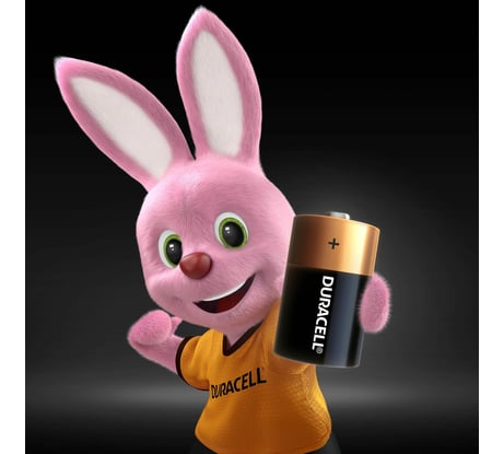 Батарейки щелочные Duracell Basic D/LR20 2 шт. блистер Б0014055 RPL00568
