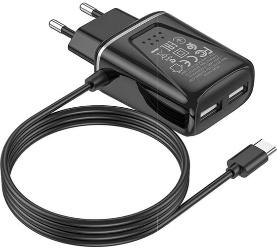 СЗУ Borofone ba50a beneficence 2xusb, 2.1а, интегрированный кабель type-c, 1м (черный) 0L-MG-WF316 1