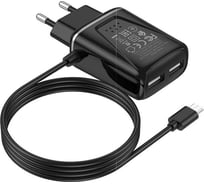 СЗУ Borofone ba50a beneficence 2xusb, 2.1а, интегрированный кабель microusb, 1м (черный) 0L-MG-WF315