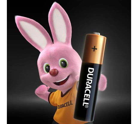 Батарейки щелочные Duracell Basic ААA/LR03 4 шт. блистер Б0026813 RPL00511