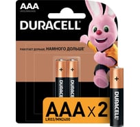 Батарейки щелочные Duracell, ААA/LR03 2шт Б0026812 15858012