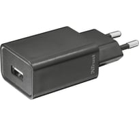 Зарядное сетевое устройство Trust ZIVA 5Вт 1хUSB 220В 21959