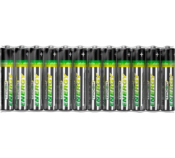 Элемент питания Трофи LR03-12S ECO Б0027813