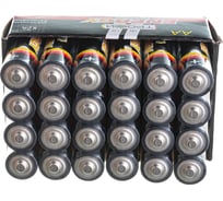 Батарейки Трофи LR6-24 bulk Б0035376