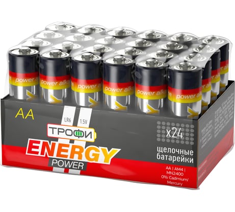 Батарейки Трофи LR6-24 bulk Б0035376