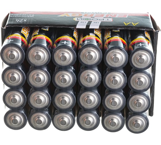 Батарейки Трофи LR6-24 bulk Б0035376