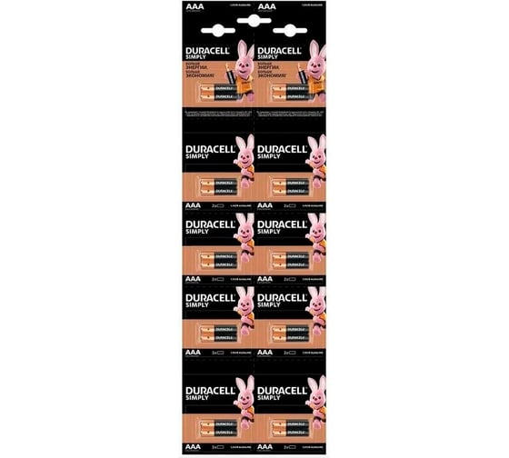 Батарейки Duracell 5011646 LR03/2BL, BASIC, 2х10 (20/240/33600) Б0051816 1