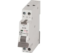 Автоматический выключатель дифференциального тока ЭРА АВДТ PRO DM32E2C25A30 АД32M 6кА, электронное, 1PN, С25, 30мА, тип А Б0059003