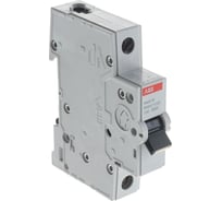 Автоматический выключатель  ABB 1P 32A C 4.5кА BMS411C32 2CDS641041R0324