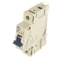 Автоматический выключатель ABL 1P, C, 10 A, 6 кА, 230/400 В AC, серия S C10S1