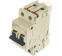 Автоматический выключатель ABL 2P, D, 50 A, 10 кА, 230/400 В AC, серия Т D50T2