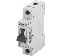 Автоматический выключатель ЭРА Pro ВА47-63 1P 16А 6кА характеристика B, индивидуальная упаковка Б0041584