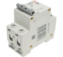 Автоматический выключатель ЭРА SIMPLE ВА 47-29 2P 16А C 4,5кА Б0039229