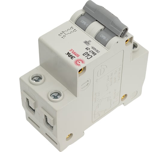 Автоматический выключатель ЭРА SIMPLE ВА 47-29 2P 40А C 4,5кА Б0039233