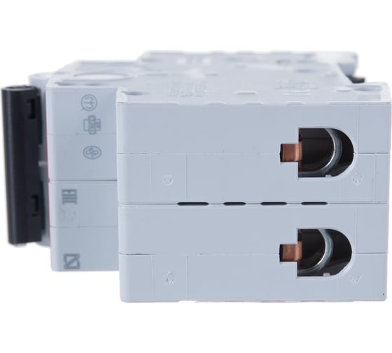 Автоматический двухполюсный выключатель  ABB 10А С S202 6кА 2CDS252001R0104