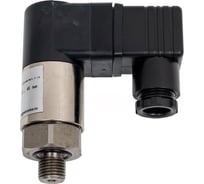 Малогабаритное реле давления BD РД-М-50 (10-45) бар, G1/4 (нар) 1231205008