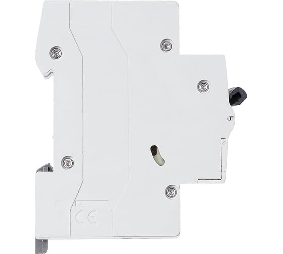 Автоматический выключатель Legrand Rx3 4,5ka 63а 2п C 419703