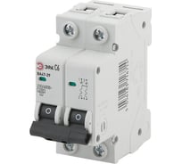 Автоматический выключатель ЭРА NO902108 ВА4729 2P, 6А, кривая C Б0031930